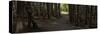 Country Road Panorama VII-James McLoughlin-Stretched Canvas