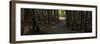Country Road Panorama VII-James McLoughlin-Framed Photographic Print
