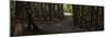 Country Road Panorama VII-James McLoughlin-Mounted Photographic Print