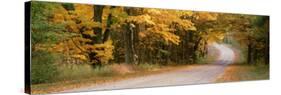 Country Road Passes through a Forest, Empire, Michigan, USA-null-Stretched Canvas