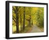 Country Road Passing by Autumn Trees, New England, USA-Walter Bibikow-Framed Photographic Print