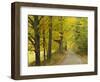 Country Road Passing by Autumn Trees, New England, USA-Walter Bibikow-Framed Photographic Print