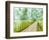 Country Road Photo II-James McLoughlin-Framed Photographic Print