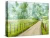 Country Road Photo II-James McLoughlin-Stretched Canvas