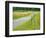 Country Road Photo III-James McLoughlin-Framed Photographic Print