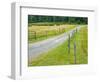 Country Road Photo III-James McLoughlin-Framed Photographic Print