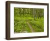 Country Road Photo V-James McLoughlin-Framed Photographic Print