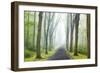 Country Road Photo VIII-James McLoughlin-Framed Photographic Print