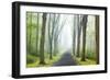 Country Road Photo VIII-James McLoughlin-Framed Photographic Print