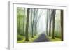 Country Road Photo VIII-James McLoughlin-Framed Photographic Print