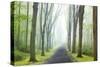 Country Road Photo VIII-James McLoughlin-Stretched Canvas