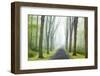 Country Road Photo VIII-James McLoughlin-Framed Photographic Print