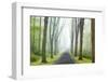 Country Road Photo VIII-James McLoughlin-Framed Photographic Print