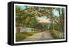Country Road, Standish, Maine-null-Framed Stretched Canvas