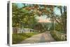 Country Road, Standish, Maine-null-Stretched Canvas