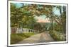 Country Road, Standish, Maine-null-Mounted Art Print