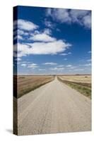 Country Road, Strasburg, North Dakota, USA-Walter Bibikow-Stretched Canvas