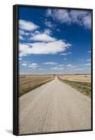 Country Road, Strasburg, North Dakota, USA-Walter Bibikow-Framed Photographic Print