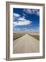 Country Road, Strasburg, North Dakota, USA-Walter Bibikow-Framed Photographic Print