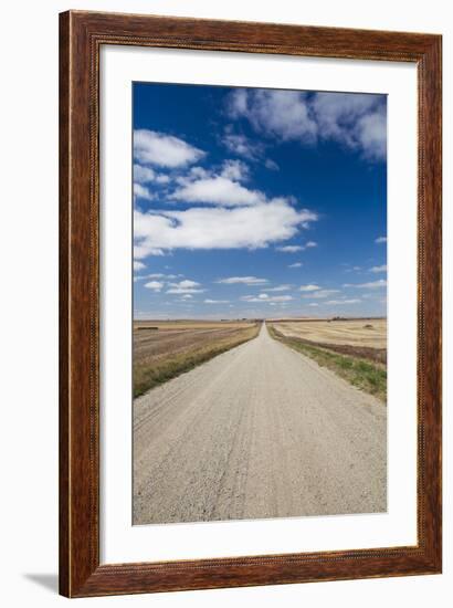 Country Road, Strasburg, North Dakota, USA-Walter Bibikow-Framed Photographic Print