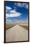 Country Road, Strasburg, North Dakota, USA-Walter Bibikow-Framed Premium Photographic Print