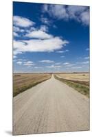 Country Road, Strasburg, North Dakota, USA-Walter Bibikow-Mounted Premium Photographic Print