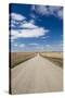 Country Road, Strasburg, North Dakota, USA-Walter Bibikow-Stretched Canvas