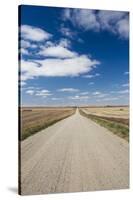 Country Road, Strasburg, North Dakota, USA-Walter Bibikow-Stretched Canvas