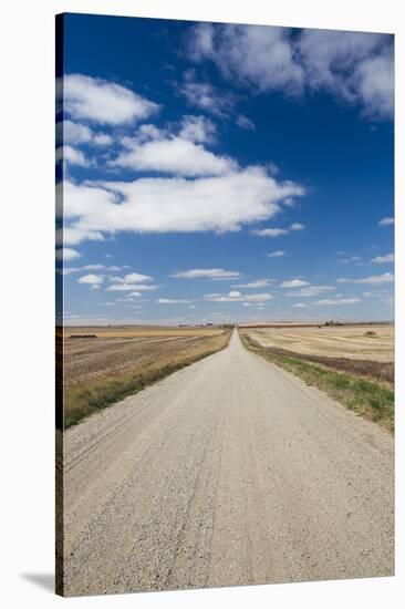 Country Road, Strasburg, North Dakota, USA-Walter Bibikow-Stretched Canvas