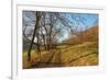 Country Road, Swabian Alb, Baden-Wurttemberg, Germany, Europe-Jochen-Framed Photographic Print