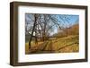 Country Road, Swabian Alb, Baden-Wurttemberg, Germany, Europe-Jochen-Framed Photographic Print