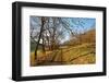 Country Road, Swabian Alb, Baden-Wurttemberg, Germany, Europe-Jochen-Framed Photographic Print