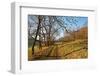 Country Road, Swabian Alb, Baden-Wurttemberg, Germany, Europe-Jochen-Framed Photographic Print