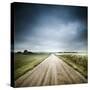 Country Road Through Fields, Denmark-null-Stretched Canvas