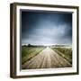 Country Road Through Fields, Denmark-null-Framed Photographic Print