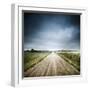 Country Road Through Fields, Denmark-null-Framed Photographic Print