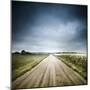 Country Road Through Fields, Denmark-null-Mounted Photographic Print