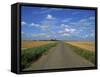 Country Road Through Fields in Fenland Near Peterborough, Cambridgeshire, England, United Kingdom-Lee Frost-Framed Stretched Canvas