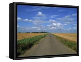 Country Road Through Fields in Fenland Near Peterborough, Cambridgeshire, England, United Kingdom-Lee Frost-Framed Stretched Canvas