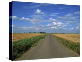 Country Road Through Fields in Fenland Near Peterborough, Cambridgeshire, England, United Kingdom-Lee Frost-Stretched Canvas