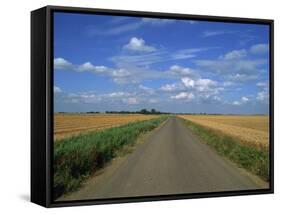 Country Road Through Fields in Fenland Near Peterborough, Cambridgeshire, England, United Kingdom-Lee Frost-Framed Stretched Canvas