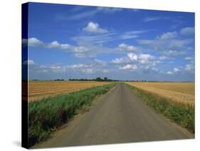 Country Road Through Fields in Fenland Near Peterborough, Cambridgeshire, England, United Kingdom-Lee Frost-Stretched Canvas