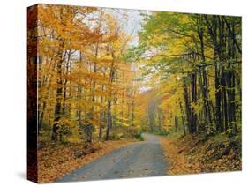 Country Road Through Forest in Autumn-James Randklev-Stretched Canvas