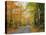 Country Road Through Forest in Autumn-James Randklev-Stretched Canvas