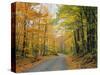 Country Road Through Forest in Autumn-James Randklev-Stretched Canvas