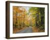 Country Road Through Forest in Autumn-James Randklev-Framed Photographic Print