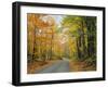 Country Road Through Forest in Autumn-James Randklev-Framed Photographic Print