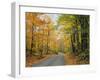 Country Road Through Forest in Autumn-James Randklev-Framed Photographic Print