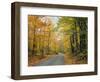 Country Road Through Forest in Autumn-James Randklev-Framed Photographic Print