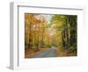 Country Road Through Forest in Autumn-James Randklev-Framed Photographic Print